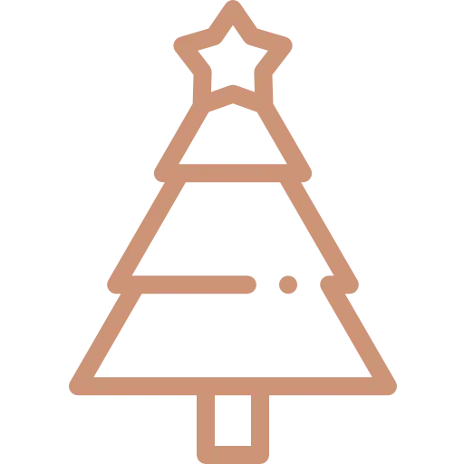 Vánoční focení Vánoční stromeček